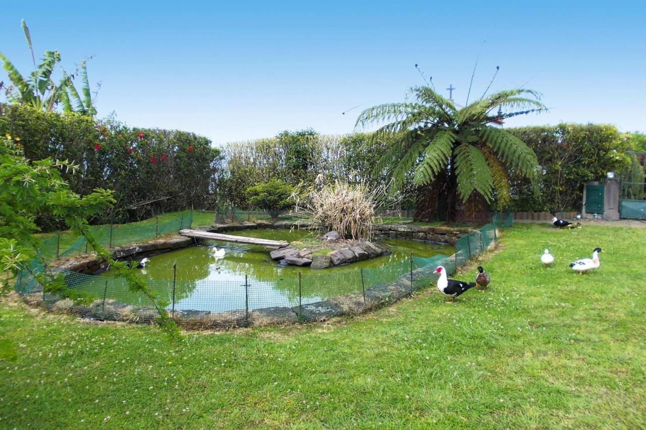 Holiday Homes Quinta Dos Curubas, Vila Franca Do Campo, Sao Miguel, Azores Luaran gambar