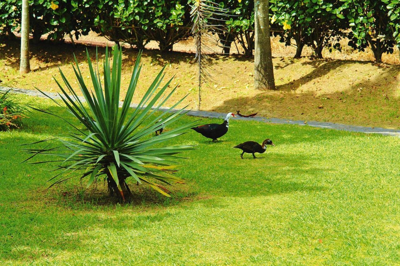 Holiday Homes Quinta Dos Curubas, Vila Franca Do Campo, Sao Miguel, Azores Luaran gambar