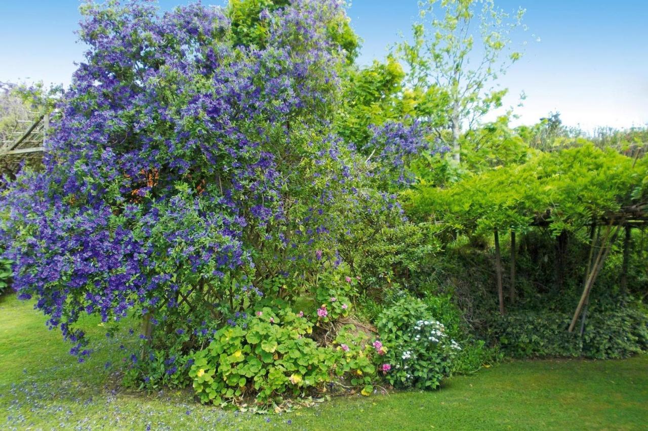 Holiday Homes Quinta Dos Curubas, Vila Franca Do Campo, Sao Miguel, Azores Luaran gambar